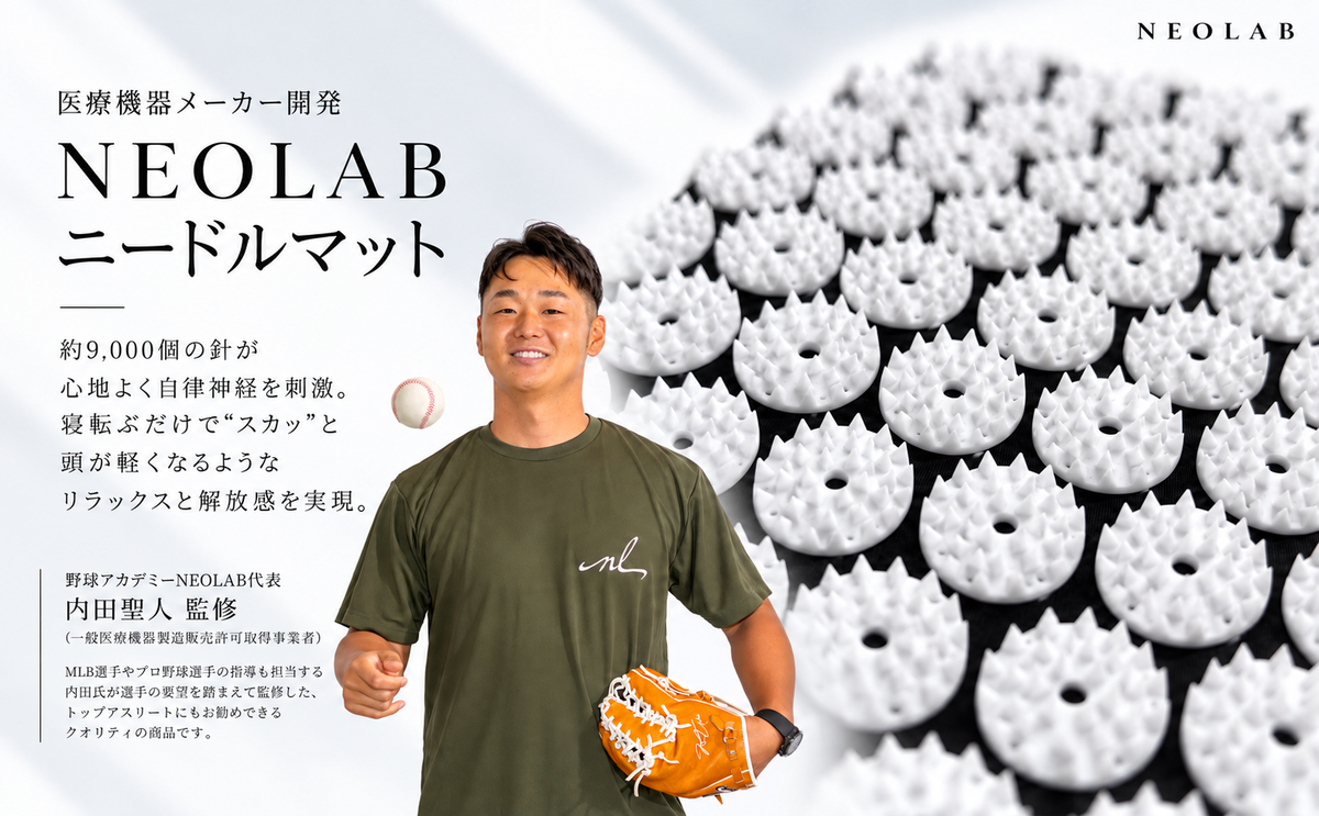 NEOLAB リカバリーニードルマット＆まくらセット